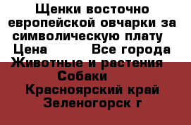 Щенки восточно европейской овчарки за символическую плату › Цена ­ 250 - Все города Животные и растения » Собаки   . Красноярский край,Зеленогорск г.